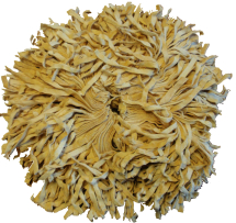 CHAMOIS RAT TAILED LEATHER MOP No.10 CHAMOIS RAT TAILED LEATHER MOP No.10